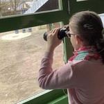 vergrößerte Bildansicht wird geöffnet