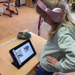 vergrößerte Bildansicht wird geöffnet